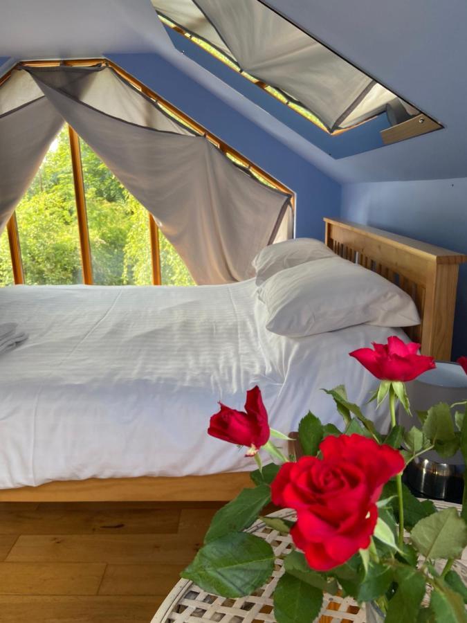 Ralph'S Barn Villa Newport  Eksteriør bilde
